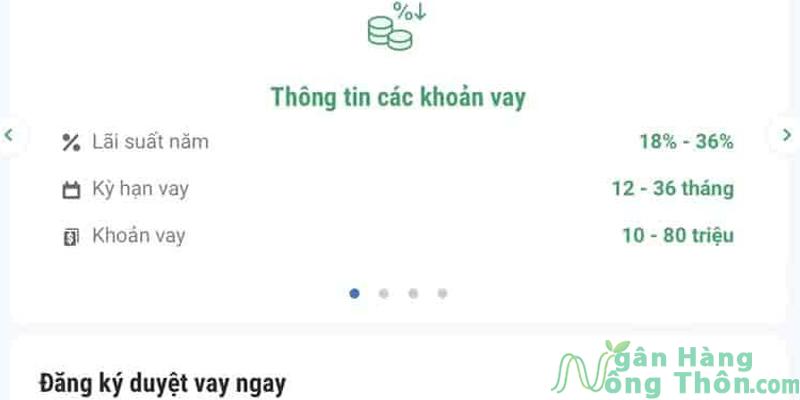 Điền thông tin khoản vay