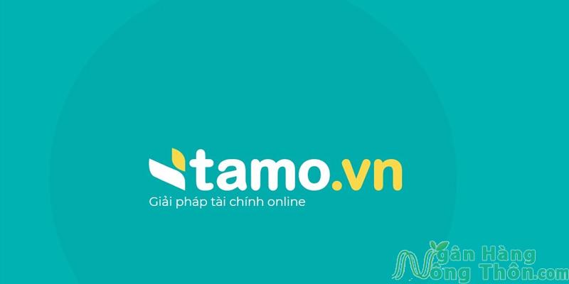 Vay tiền nóng tại ứng dụng Tamo