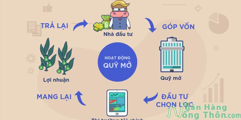 Quỹ mở hay còn gọi là Mutual Fund