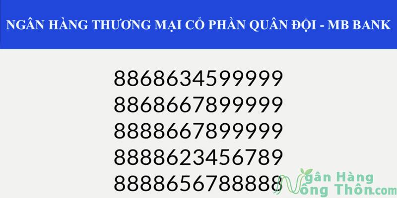 Số tài khoản MB đẹp là gì? Cách chọn mua và Phí mở 2024