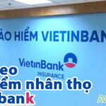 Vay theo bảo hiểm nhân thọ Vietinbank 2024: Điều kiện, Lãi suất