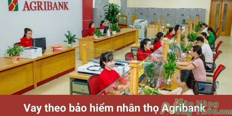 Cách vay theo bảo hiểm nhân thọ Agribank 2024: điều kiện, thủ tục, lãi suất