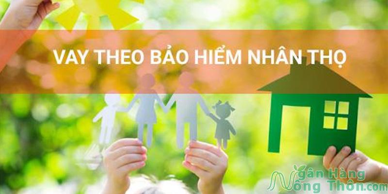 Cách vay tiền bằng bào hiểm nhân thọ Manulife