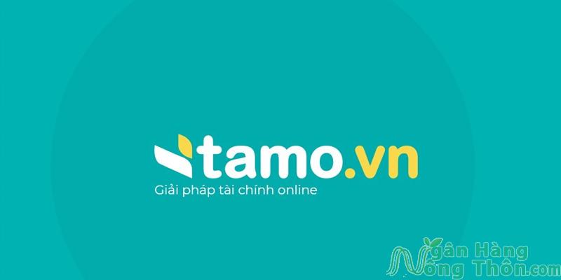 Vay tiền online Tamo