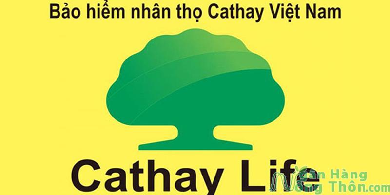Cathay Life là gì? Review bảo hiểm Cathay Life 2024