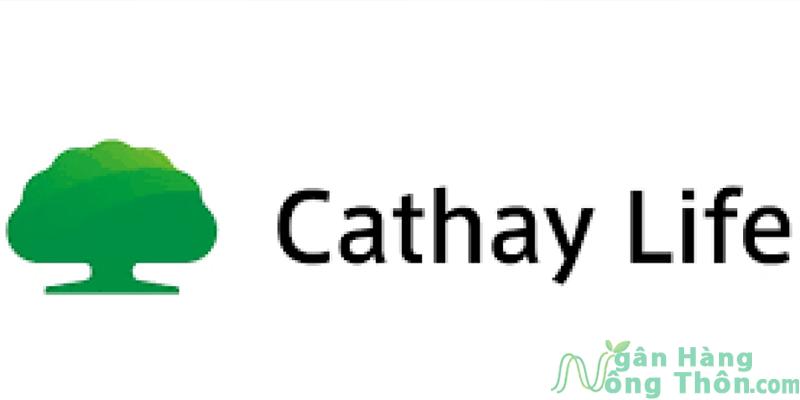 Công ty bảo hiểm nhân thọ Cathay Life