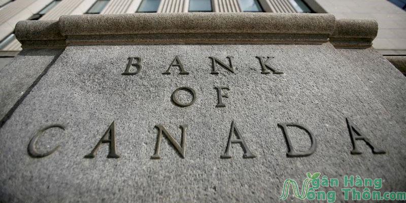 Danh sách các ngân hàng Canada tại Việt Nam Lớn nhất 2024