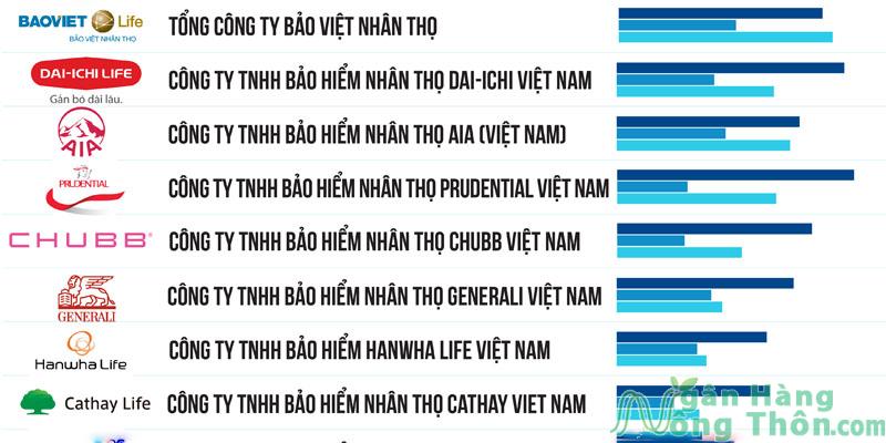 Xếp Hạng Top 10 Công Ty Bảo Hiểm Nhân Thọ Tại Việt Nam Tốt Nhất 2024