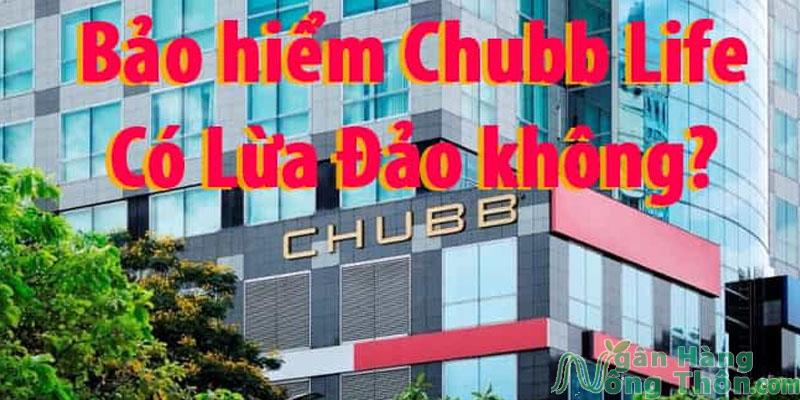 Thực hư Chubb life lừa đảo