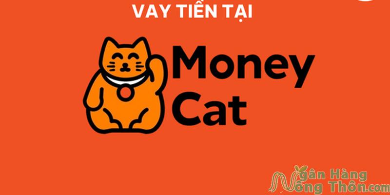 Vay tiền online Money Cat