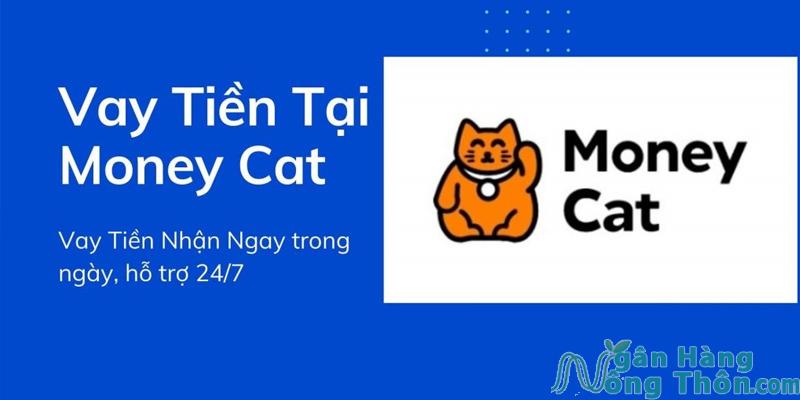 Logo Money Cat