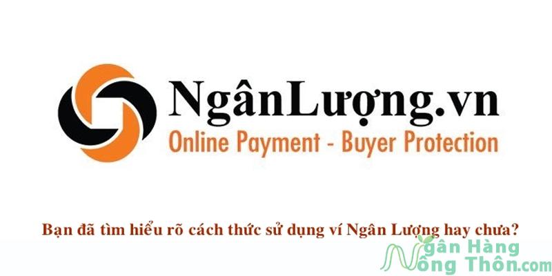 Ví điện tử ngân lượng