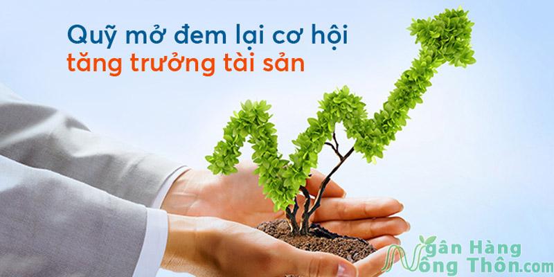 So Sánh Các Quỹ Mở Ở Việt Nam Tốt Nhất 2024