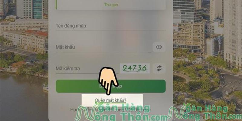 Chọn vào mục quên mật khẩu