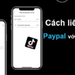 Cách liên kết Paypal với Tiktok rút tiền về tài khoản Paypal 2024