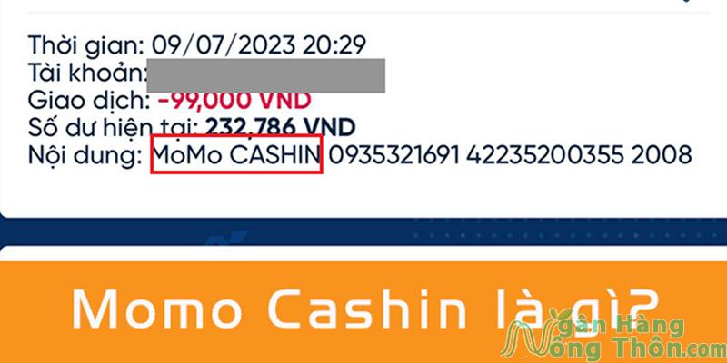 Momo Cashin là gì? Có lừa đảo không? Cách lấy lại tiền bị trừ nhanh 2024