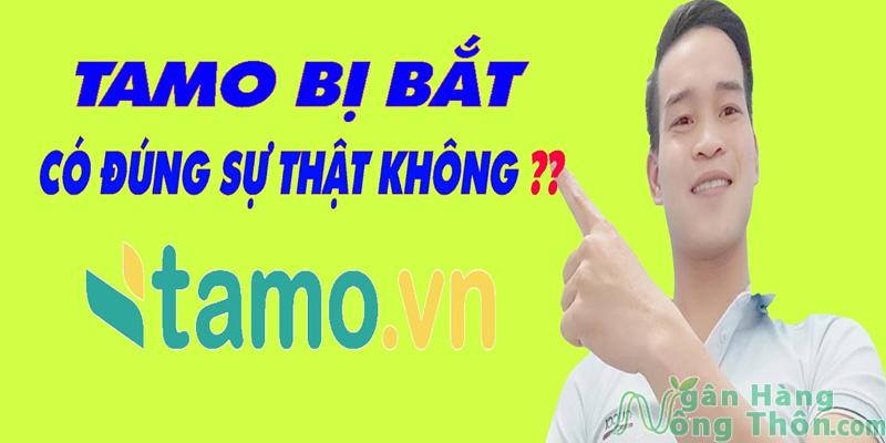 Sự thật Tamo bị bắt, bị sập 2024 Tamo bị bắt có phải trả tiền không?