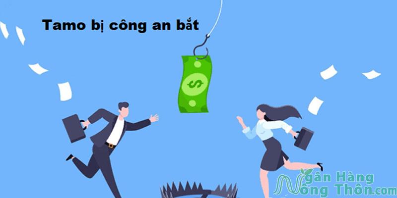 Sự thật Tamo đồng bị bắt, bị sập chính xác không?