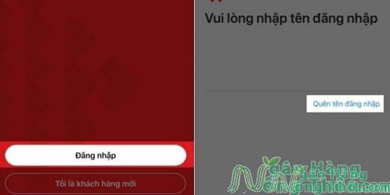 Truy cập app Techcombank mobile > Chọn Đăng nhập > ấn Quên tên đăng nhập