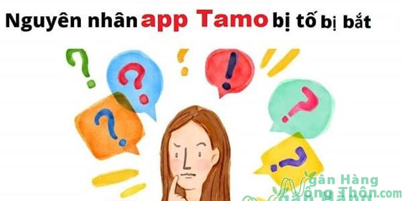 Nguyên nhân Tamo đồng bị bắt, bị sập