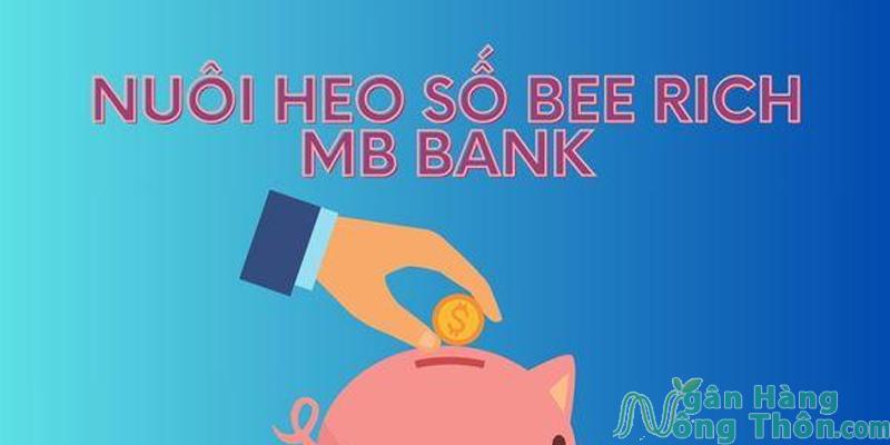 Nuôi heo số Bee Rich là gì?