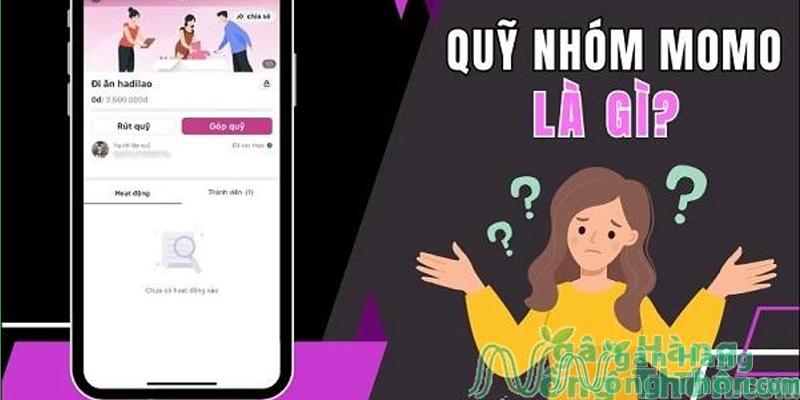 Quỹ nhóm MoMo là gì?