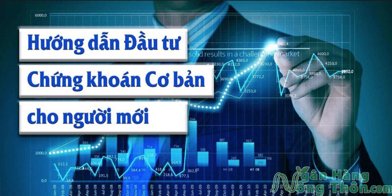 Đầu Tư Chứng Khoán Là Gì? Kiến Thức Cơ Bản Cho Người Mới