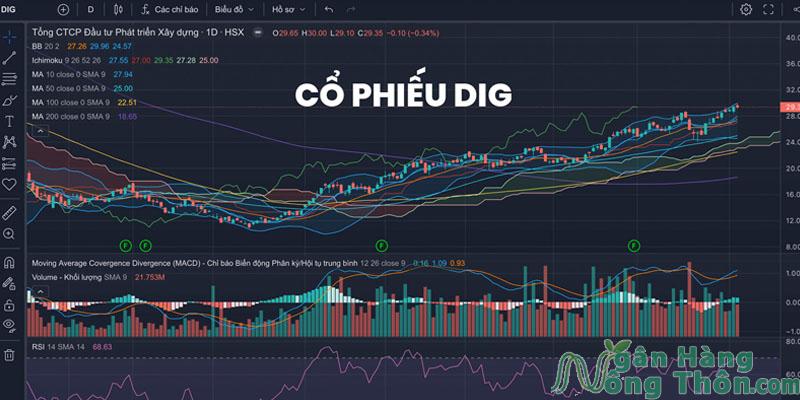 Cổ Phiếu DIG Là Gì? Cập Nhật Giá Cổ Phiếu DIG Mới Nhất