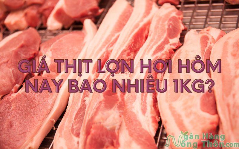 giá thịt lợn hơi hôm nay