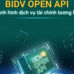 BIDV Open API